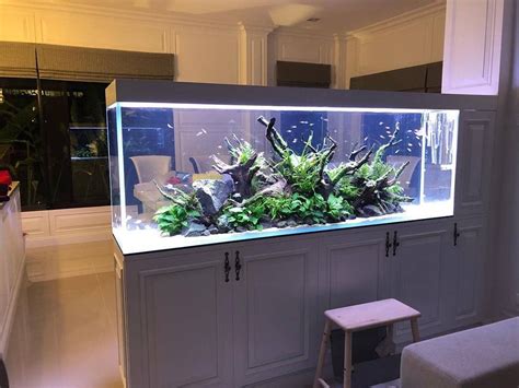 peninsula fish tank